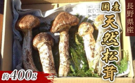 3001 国産 天然 長野県山形村産 マツタケ 約400g