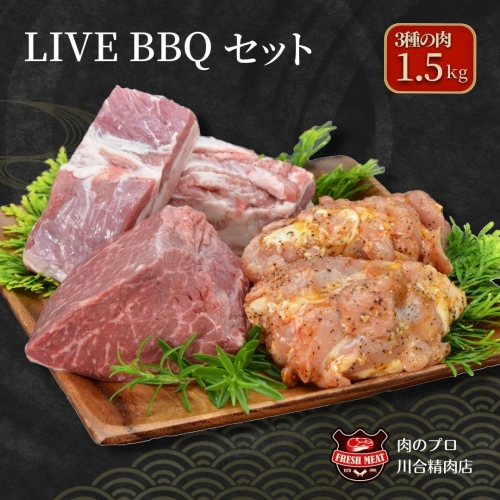 TC0-21 川合精肉店の「LIVEBBQ」セット