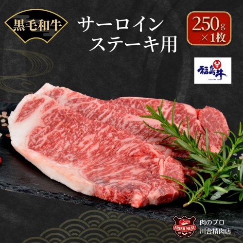 TB0-20 川合精肉店黒毛和牛(福島牛)サーロインステーキ用250g 94644