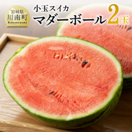 [令和8年産]宮崎県産 小玉スイカ(マダーボール)2玉 [ 数量限定 国産 宮崎県産 西瓜 フルーツ 果物 ]