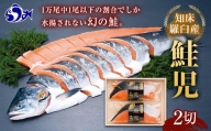 鮭の丸亀 北海道知床羅臼産 鮭児(生冷凍)2切箱詰[化粧箱入] F21M-750