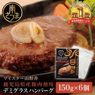 【マイスター山野井】 鹿児島県産豚肉100％使用のデミグラスハンバーグ（レトルト） 150g×6個