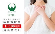 高知県大月町への応援寄付金100万円　【返礼品なし】