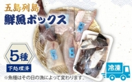 【下処理済】【冷凍】 五島列島 鮮魚ボックス 5種 【ShiningFoods】 [RBR002]