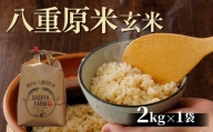八重原米2kg（2kg×1袋）玄米