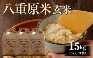 八重原米15kg（5kg×3袋）玄米