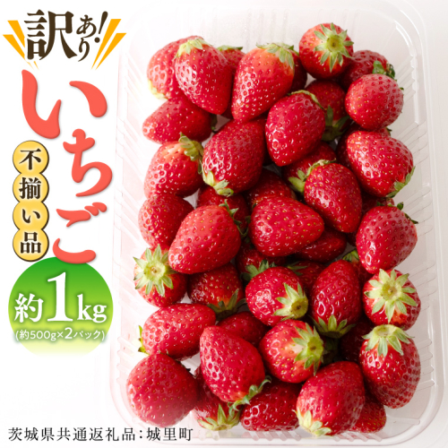 【訳あり】いちご 1kg 【1月から発送開始】（茨城県共通返礼品 [いちご]：城里町産） いちご 苺 イチゴ 訳あり [BI368-NT] 947961 - 茨城県つくばみらい市