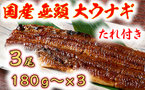 国産うなぎ　備長炭地焼き蒲焼き180g以上×3尾　タレ付き×3【FU03W】 947962 - 滋賀県近江八幡市