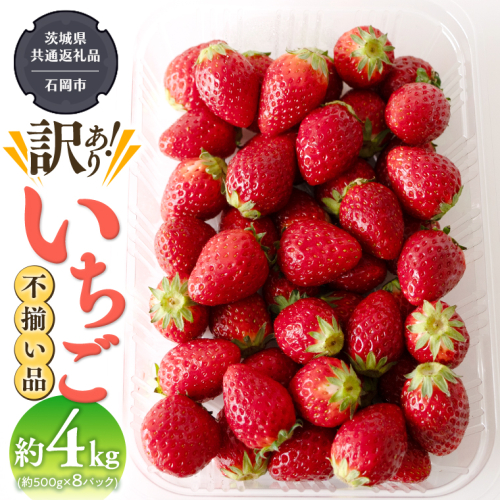 【訳あり】いちご 4kg【2024年12月から発送開始】 （茨城県共通返礼品 [いちご]：石岡市産） いちご 苺 イチゴ 訳あり [BI370-NT] 947991 - 茨城県つくばみらい市