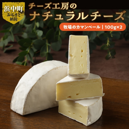 チーズ工房のナチュラルチーズ　牧場のカマンベール１００g×2_H0003-010 948150 - 北海道浜中町