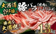 [満腹セット]大西海SPF豚 バラ(焼肉&しゃぶしゃぶ用)計1.3kg(650g×2パック)長崎県/長崎県農協直販 [42ZZAA100]