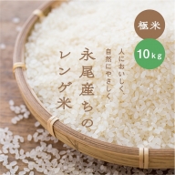 【極米】農家直送1年がかりのれんげ米（5kg×2）：B180-034