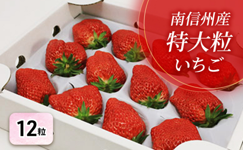 【特選贈答用】南信州産「特大粒いちご」（12粒入り）【信州駒ヶ根いちご園】 果物類 苺 イチゴ 94896 - 長野県駒ヶ根市