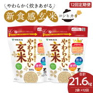 やわらかい玄米 1.8kg(900g×2袋) ※12回定期便　小分け 米 こめ コメ ごはん 栄養豊富 簡単 便利 美容 健康 新食感 もちもち 安心安全なヤマトライス　H074-651