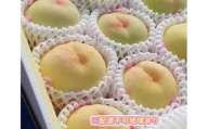 くぼ農園 白桃 セレクション 約3.0kg