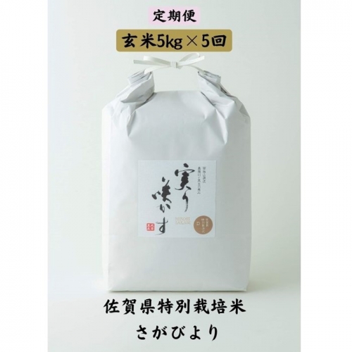 Ｇ−０７７．【定期便５回】特別栽培米さがびより玄米計25kg 94953 - 佐賀県佐賀市