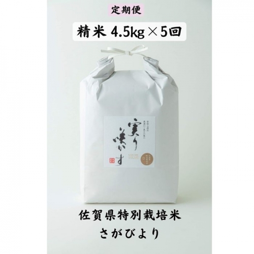 Ｇ−０７８．【定期便５回】特別栽培米さがびより精米計22.5kg 94954 - 佐賀県佐賀市