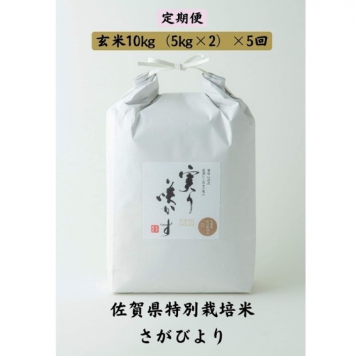 Ｌ−０４０．【定期便５回】特別栽培米さがびより玄米計50kg