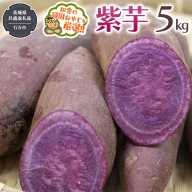 紫芋 5kg 【令和6年12月から発送開始】（県内共通返礼品：行方市産） さつまいも 紫芋 芋 いも 野菜 [BI414-NT]