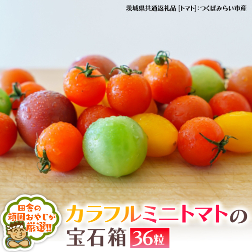 カラフルミニトマト の 宝石箱 36粒 【2026年1月から発送開始】トマト ミニトマト カラフル 野菜 フルーツ（茨城県共通返礼品 [トマト]：つくばみらい市産） [BI410-NT] 949845 - 茨城県つくばみらい市