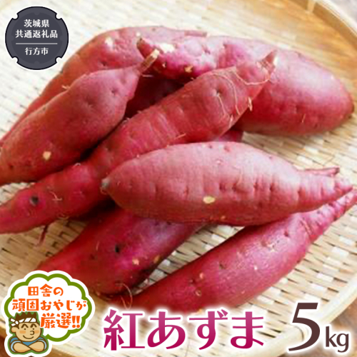 紅あずま 5kg 【2024年10月から発送開始】（茨城県共通返礼品 [さつまいも]：行方市産） さつまいも 紅あずま 芋 いも 野菜 [BI412-NT] 949849 - 茨城県つくばみらい市