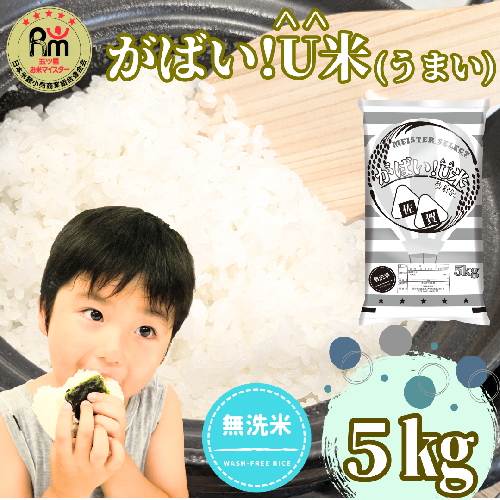 CID13_【がばい！U米(うまい)】≪無洗米≫お徳用５ｋｇ！ （５ｋｇ×１袋）　家庭用　生活応援【訳あり】 おすすめ　人気ブランド　特A銘柄も含む　５ｋｇ以上 949894 - 佐賀県みやき町