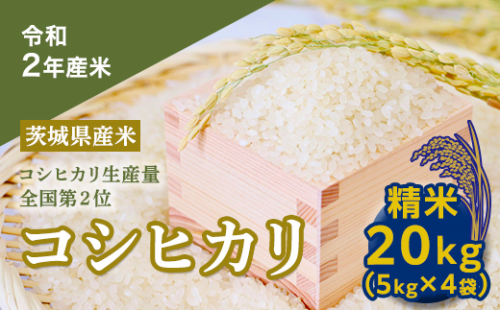 【数量限定】＜令和２年産米＞茨城県産コシヒカリ２０kg [AH16-NT] 94996 - 茨城県つくばみらい市