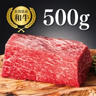 【牧場直送】佐賀産黒毛和牛 赤身ブロック肉 500g：B140-038