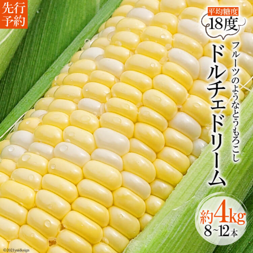 AE156 まるでフルーツのようなとうもろこし 約4kg 【ドルチェドリーム】 スイートコーン 95039 - 長崎県島原市