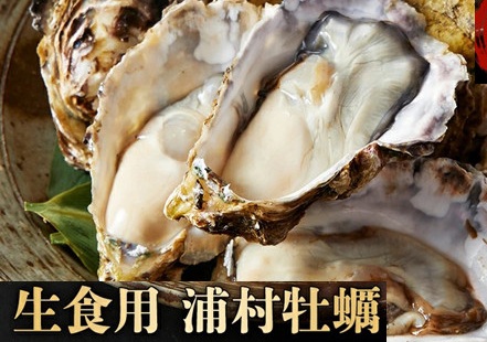 I-55生食用浦村牡蠣１５個入りセット 95061 - 三重県鳥羽市