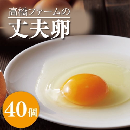 AQ003-1　高橋ファームの丈夫卵40個入り 950899 - 栃木県益子町