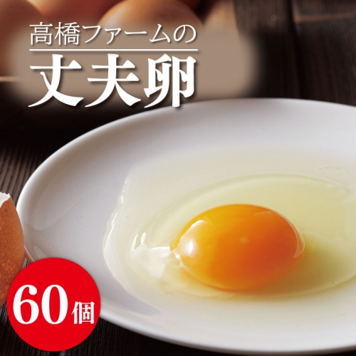 AQ004　高橋ファームの丈夫卵60個入り 950900 - 栃木県益子町