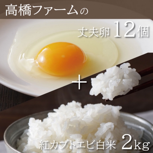AQ006　高橋ファームの丈夫卵12個+紅カブトエビ白米2kg 950902 - 栃木県益子町