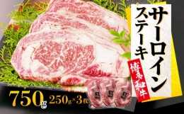 【ふるさと納税】博多和牛 サーロインステーキ 750g