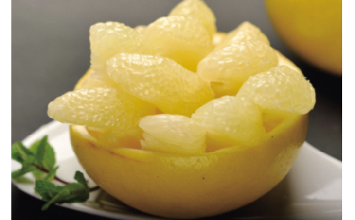 三愛果樹園の土佐文旦　（小玉）家庭用5kg　先行予約 2月～3月発送 みかん 柑橘 ぶんたん ブンタン 果物 フルーツ お取り寄せ おいしい 美味しい 故郷納税 ふるさとのうぜい 返礼品 高知県 高知 951488 - 高知県土佐市