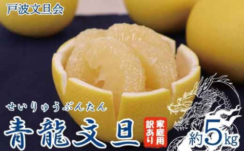 《戸波文旦会》 【訳あり】青龍文旦 家庭用 約5kg（M～5L混合サイズ）【土佐グルメ市場厳選】高知産 土佐文旦 みかん 柑橘 フルーツ 文旦 ぶんたん ブンタン 果物 訳アリ 傷 お取り寄せ おいしい 故郷納税 ふるさとのうぜい 返礼品 高知県 高知 土佐市 951495 - 高知県土佐市