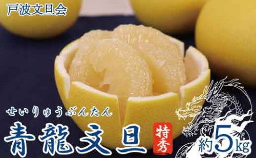 《戸波文旦会》 青龍文旦（せいりゅうぶんたん） 特秀 約5kg（2L～4L混合サイズ）【土佐グルメ市場厳選】高知産 みかん 柑橘 フルーツ 文旦 ぶんたん ブンタン 果物 お取り寄せ おいしい 故郷納税 ふるさとのうぜい 返礼品 高知県 高知 土佐市 951497 - 高知県土佐市