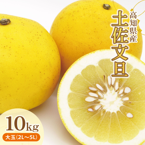 土佐文旦（ぶんたん）（大玉：２Ｌ～５Ｌ混合）約１０ｋｇ 約14～21玉 951522 - 高知県土佐市