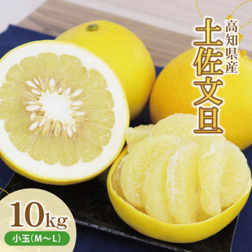 土佐文旦(ぶんたん)(小玉サイズ:M~L混合)約10kg 株式会社とさもん(土佐市)厳選 文旦 10キロ 約25~30玉 ぶんたん ブンタン 果物 柑橘 フルーツ お取り寄せ おいしい 美味しい 951529 - 高知県土佐市