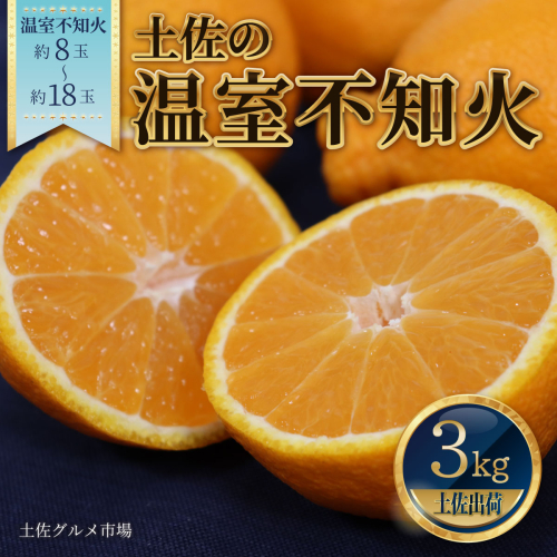 土佐の温室不知火（しらぬい）約3kg みかん 柑橘 フルーツ 果物 美味しい おいしい 常温 故郷納税 ふるさとのうぜい 返礼品 高知県 高知 951609 - 高知県土佐市