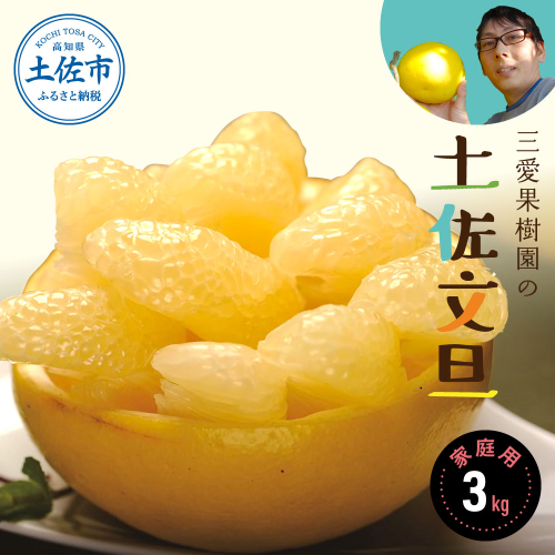 【先行予約】三愛果樹園の土佐文旦 家庭用約3kg 2月～3月発送  951621 - 高知県土佐市