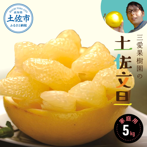 【先行予約】文旦 三愛果樹園の土佐文旦 家庭用約5kg 2月～3月発送  951622 - 高知県土佐市