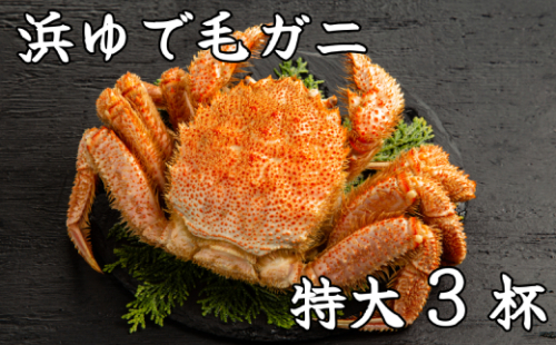 78-16 流氷明け浜ゆで毛ガニ　特大3杯 951676 - 北海道紋別市