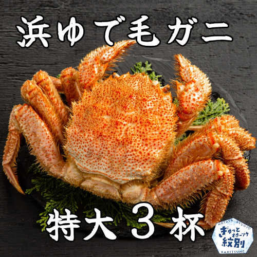 78-16 流氷明け浜ゆで毛ガニ　特大3杯 951676 - 北海道紋別市