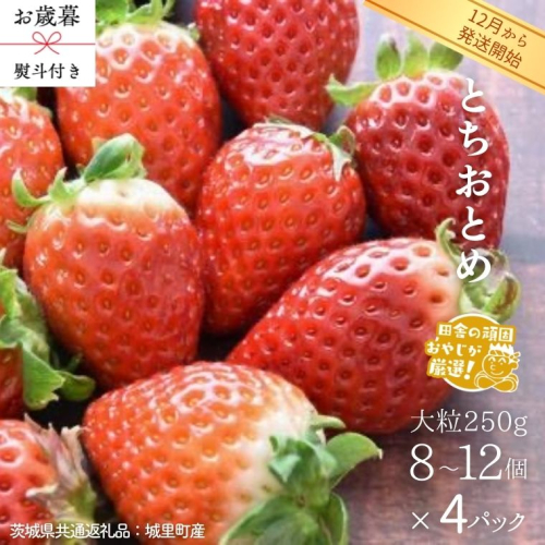 【 お歳暮 熨斗付 】 とちおとめ 〈いちご〉 大粒 250g（8～12粒）×4パック【2025年12月から発送開始】（茨城県共通返礼品 [いちご]：城里町産） いちご 苺 イチゴ とちおとめ [BI371-NT] 951886 - 茨城県つくばみらい市