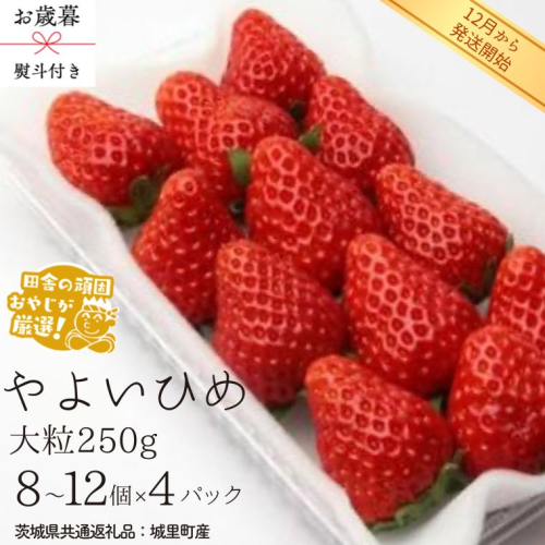 【 お歳暮 熨斗付 】やよいひめ〈いちご〉大粒 250g（8～12粒）×4パック【2025年12月から発送開始】（茨城県共通返礼品 [いちご]：城里町産） いちご 苺 イチゴ やよいひめ [BI373-NT] 951892 - 茨城県つくばみらい市