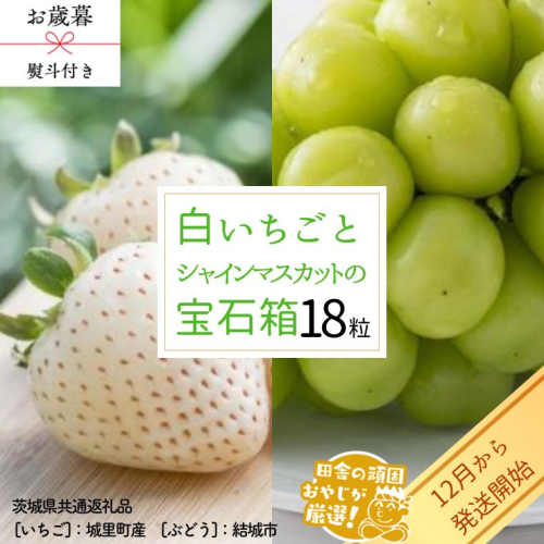 【 お歳暮 熨斗付 】 シャインマスカットと白いちごの 宝石箱 18粒【12月から発送開始】（茨城県共通返礼品 [ぶどう]：結城市　[いちご]：城里町産） いちご 苺 イチゴ 白いちご 白イチゴ シャインマスカット マスカット 宝石箱 [BI376-NT] 951926 - 茨城県つくばみらい市