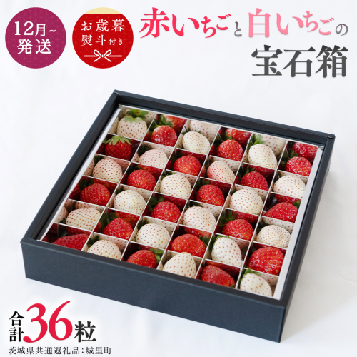 【 お歳暮 熨斗付 】赤いちごと白いちごの宝石箱 18粒【12月から発送開始】（茨城県共通返礼品 [いちご]：城里町産） いちご 苺 イチゴ 白いちご 白イチゴ 宝石箱 [BI377-NT] 951937 - 茨城県つくばみらい市