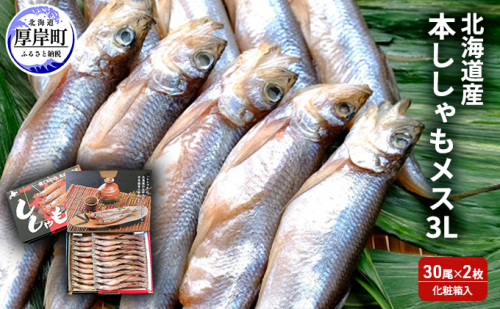 北海道産 本ししゃも メス 3Lサイズ 30尾×2枚 (合計60尾) 化粧箱入 魚貝類 干物 952288 - 北海道厚岸町