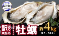 訳あり 牡蠣 北海道厚岸産 殻付カキ 約4kg (25から50個) カキナイフ付 生食
